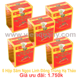 Combo 5h Sâm Ngọc Linh DTHT + Tặng 4h Trà Bogatra